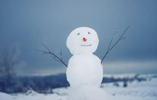 Picture winter, snow, snowman