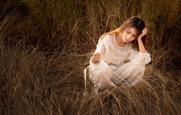 Picture grass, girl, dress, Asian, sitting, cutie