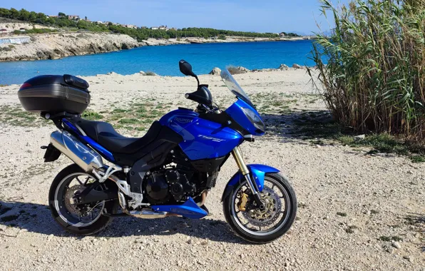 Tiger, sea, tiger, Triumph, triumph, 1050