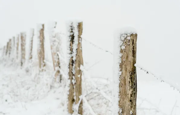 Winter, snow, the fence