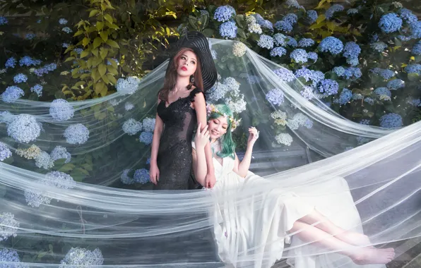 White, look, girl, flowers, bench, pose, Park, feet