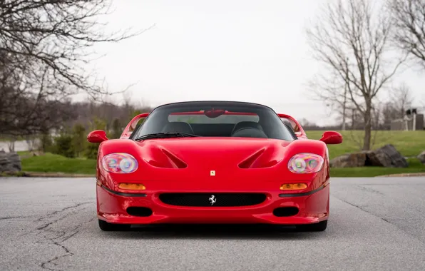 Picture Red, F50, Front view
