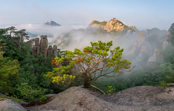 Picture landscape, mountains, nature, fog, South Korea, reserve, Dobongsan, Jae youn Ryu