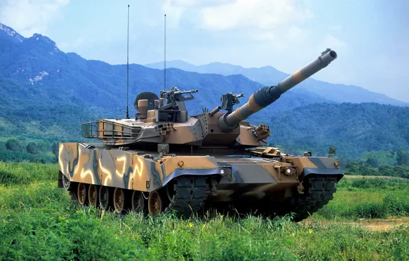 Gun, weapon, South Korea, asian, tank, oriental, asiatic, vegetation