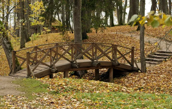 Autumn, bridge, nature, Park