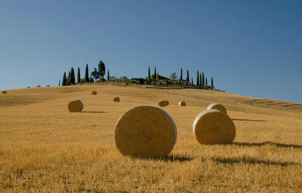 Field, house, stack, hay, Italy, cypress, Tuscany