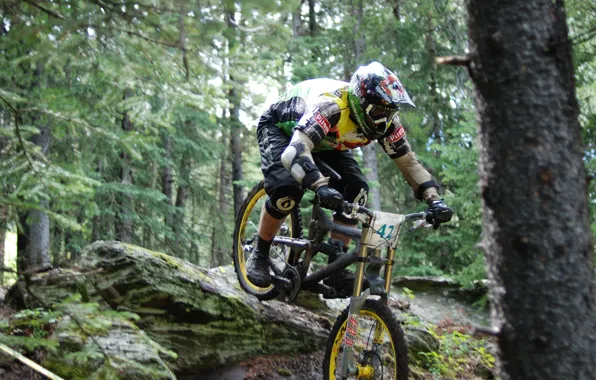Picture forest, bike, extreme, downhill, downhill