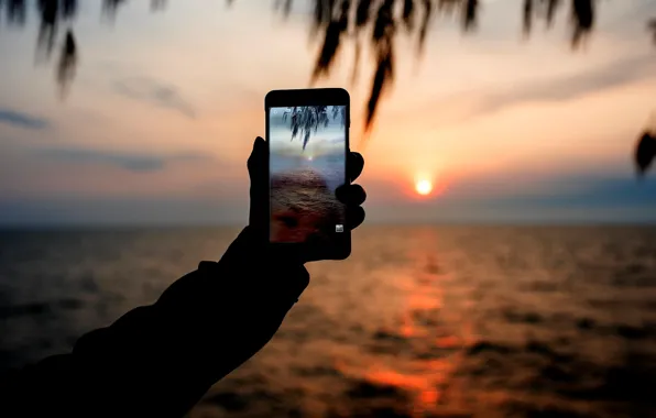 Sea, sunset, photo, phone