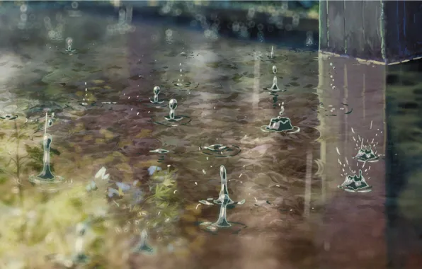 Picture drops, squirt, reflection, rain, art, Kotonoha no Niwa, Garden of fine words, Makoto Shinkai