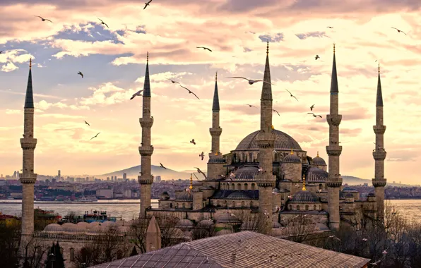 The city, panorama, Turkey, Istanbul, Sultanahmet mosque, turkey, Istanbul