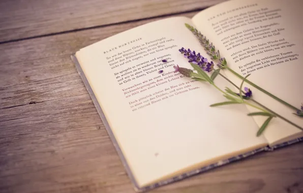 Picture table, book, lavender, poems
