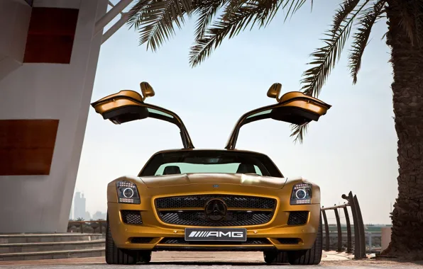 Picture Palma, Door, Steps, Gold, SLS AMG Desert Gold Edition, Mercedes Benz