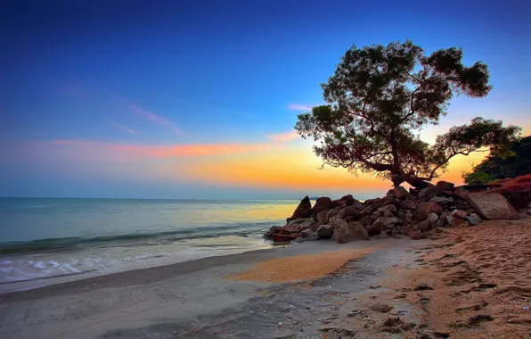 Picture sea, the sky, clouds, stones, tree, shore