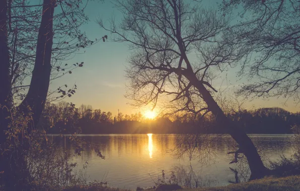 The sun, trees, sunset, branches, fog, shore, the evening, haze