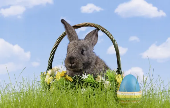 Picture grass, flowers, basket, egg, rabbit, Easter, easter