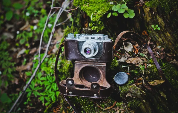 Camera, bokeh, ussr, fed
