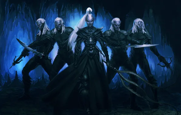 Group, elves, warriors