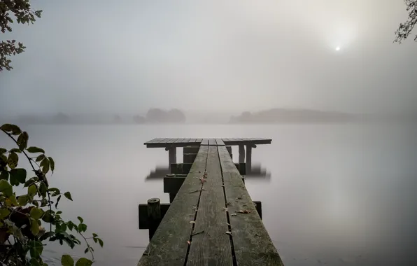 Night, bridge, fog, lake