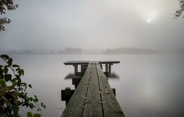 Picture night, bridge, fog, lake