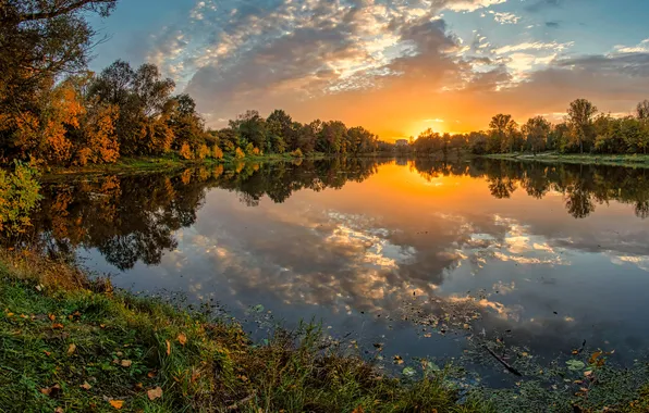 Picture autumn, forest, trees, landscape, sunset, lake, reflection