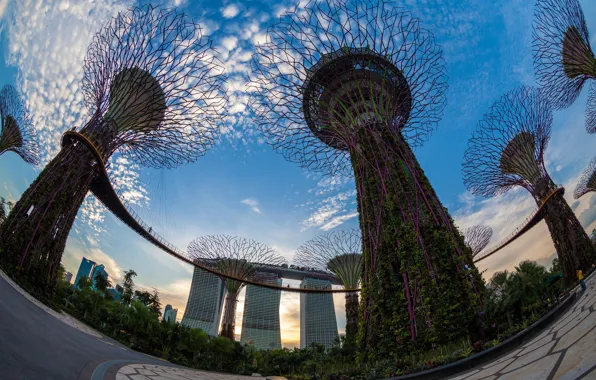 Picture the sky, clouds, trees, bridge, design, Park, palm trees, design