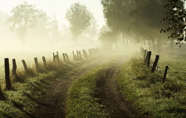 Road, grass, trees, nature, fog, dawn, the fence, fence