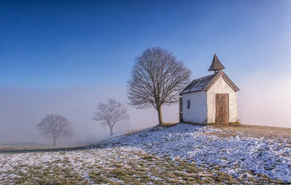 Winter, field, the sky, snow, trees, nature, fog, blue