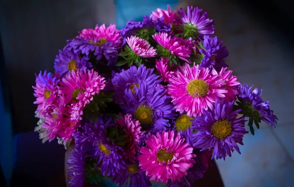 Picture flowers, the dark background, bouquet, pink, lilac, asters