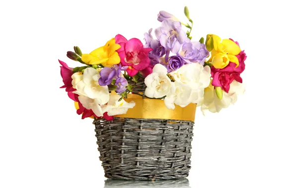 Picture flowers, basket, bouquet, bow