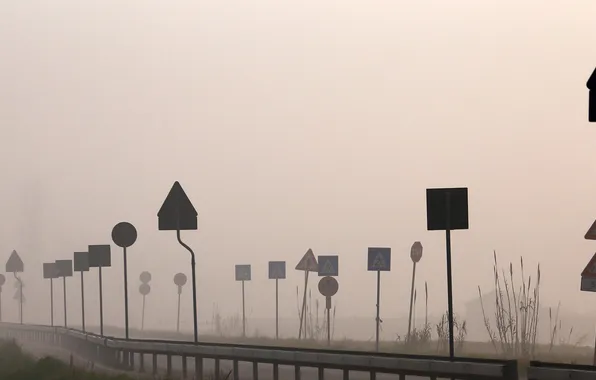 Road, fog, signs