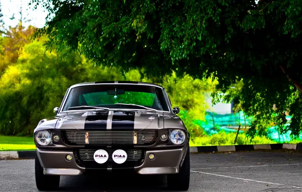 Ford, shelby, gt500, classic, eleanor, american, exotic