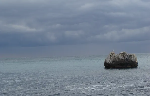 Picture sea, storm, stones, seagulls
