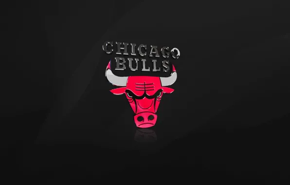 Picture Black, Chicago, Basketball, Logo, NBA, Chicago Bulls, Bulls