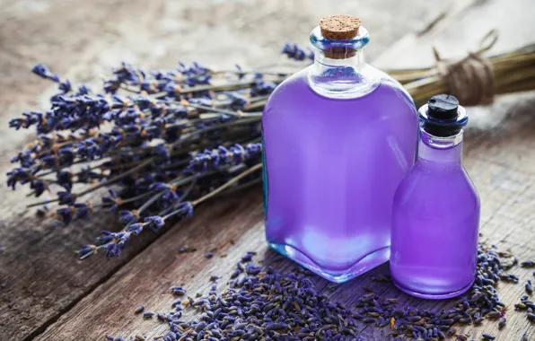 Picture lavender, purple, lavender, spa, oil