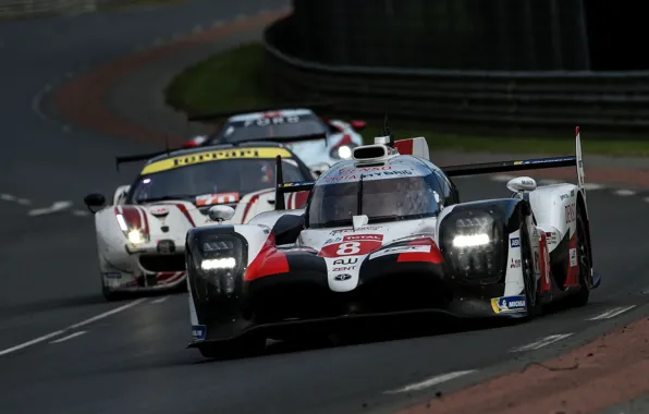 Track, Ford, Ferrari, Toyota, WEC, 2019, TS050 Hybrid