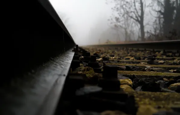 Macro, background, railroad