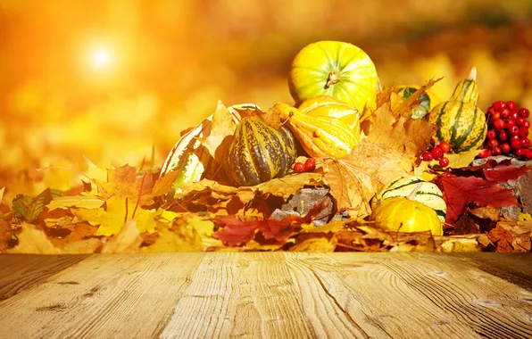 Picture autumn, pumpkin, leaves, Rowan
