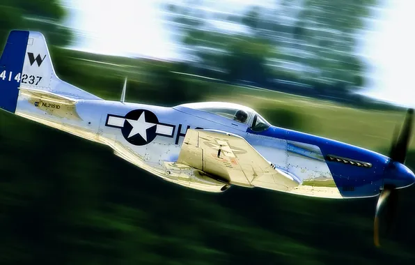 The plane, Shine, speed, Mustang, Mustang, fighter, P-51, North American