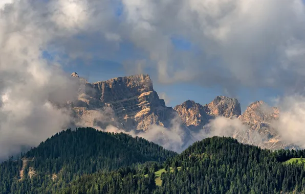 Forest, the sky, clouds, light, mountains, fog, rocks, the slopes