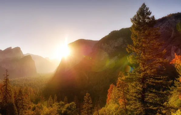 Autumn, forest, the sky, the sun, rays, light, mountains, fog