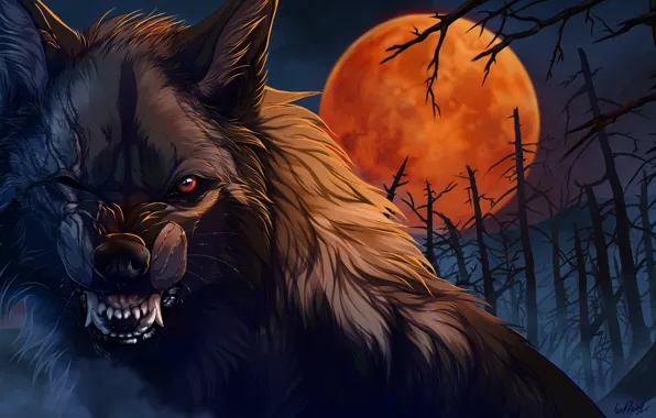 Night, wolf, wool, mouth, fangs, werewolf, art, scars