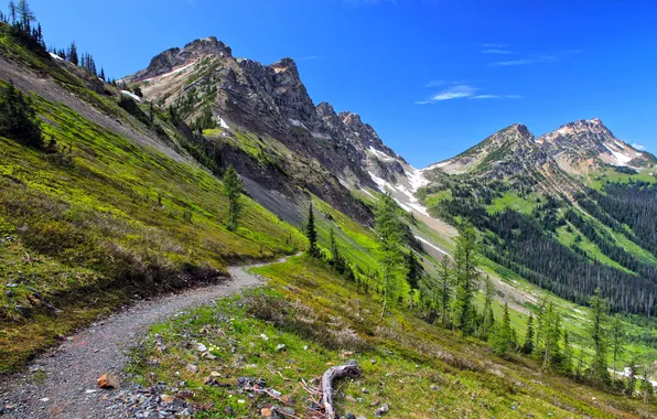 Forest, the sky, clouds, trees, landscape, mountains, nature, rock