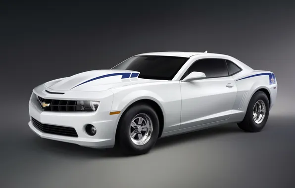 White, tuning, concept, Chevrolet, muscle car, camaro, chevrolet, tuning