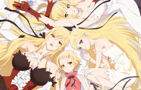 Picture girls, anime, blonde, Bakemonogatari