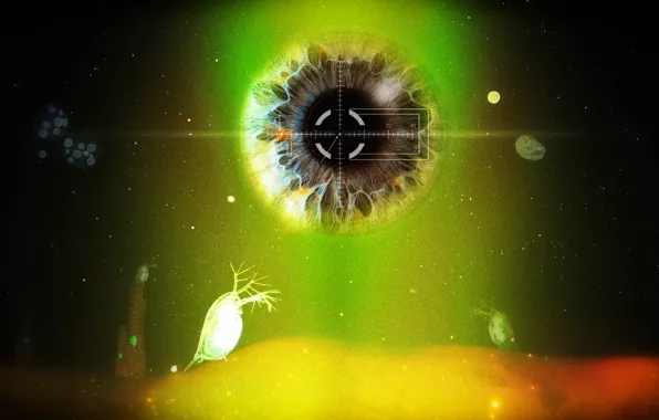 The universe, others, microorganisms