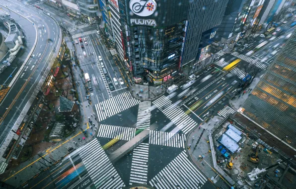 The city, movement, street, building