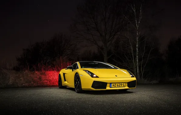 Picture Lamborghini, Gallardo, Yellow