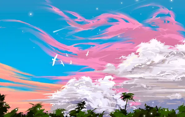 The sky, clouds, birds, palm trees
