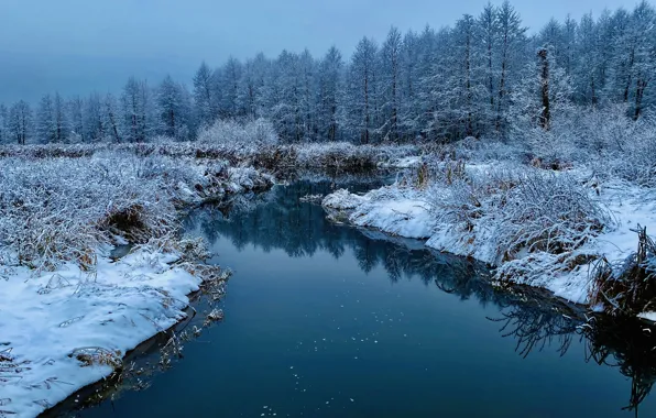 Nature, Landscape, Different