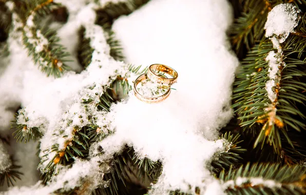 Winter, snow, branches, tree, ring, pair, tree, wedding